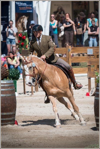 Pferd International 139